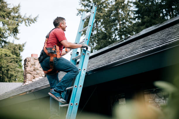 Steel Roofing in Mcgregor, FL